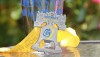 Oddyssey Half Marathon Medal – Pint Glass – 2012