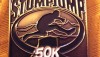 Stump Jump 50K Medal (2013) – Run It Fast